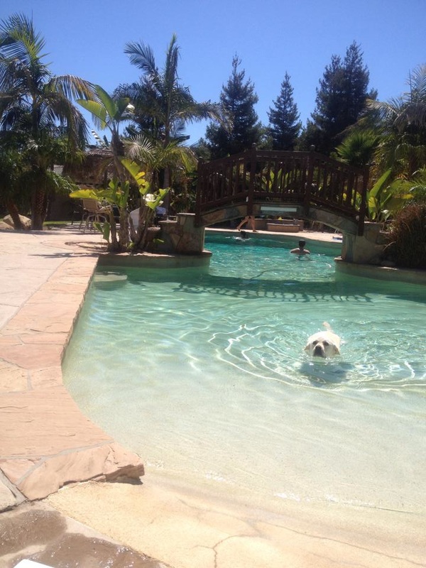Camarillo Pool Cleaning Service